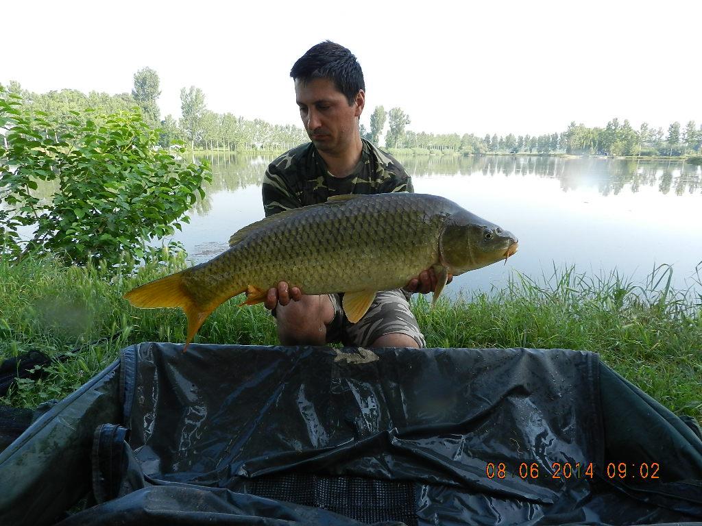 carpfishing 08/05/2014 - dscn2675.JPG
